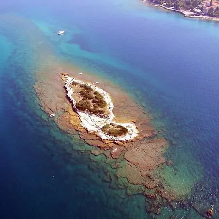 Semesterbostad In With Swimming Pool Poreč